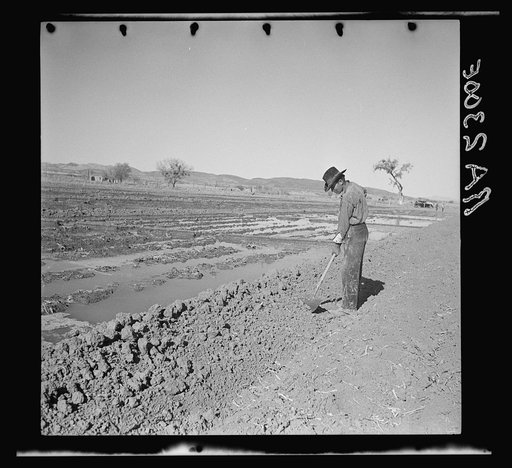 Untitled photo, possibly related to: Irrigating a field. Dona Ana County, New Mexico