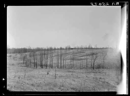 Untitled photo, possibly related to: Check brush dam on Coalins Forest and Game Reservation between Tennessee and Cumberland Rivers in Kentucky