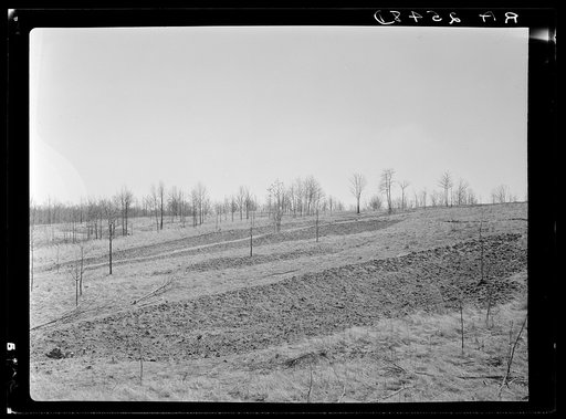 Untitled photo, possibly related to: Check brush dam on Coalins Forest and Game Reservation between Tennessee and Cumberland Rivers in Kentucky