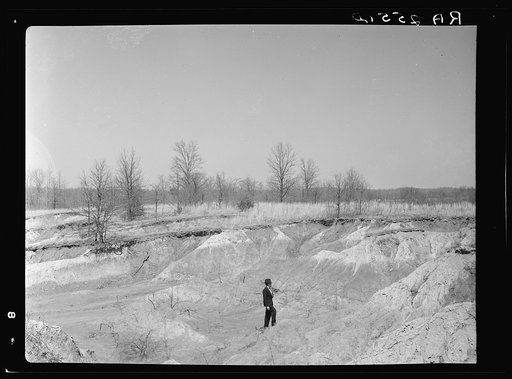 Untitled photo, possibly related to: Erosion gully on Coalins Forest and Game Reservation between Tennessee and Cumberland Rivers in Kentucky