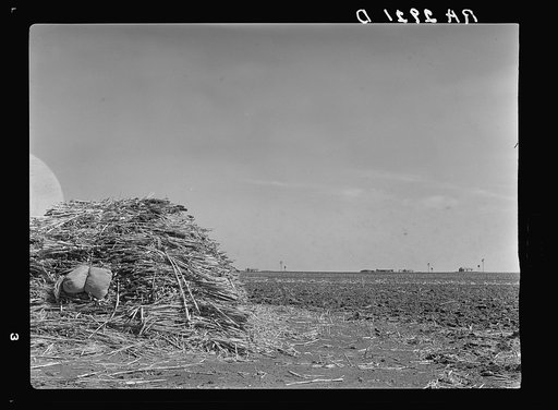 Untitled photo, possibly related to: Ropesville Farms, Texas, April 1936. United States Resettlement Administration rural rehabilitation project