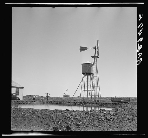 Untitled photo, possibly related to: Ropesville Farms, Texas, April 1936. United States Resettlement Administration rural rehabilitation project. One of the thirty-three homestead units