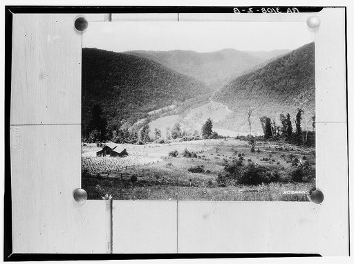 Monongahela National Forest. Elk River Canyon from no. 15