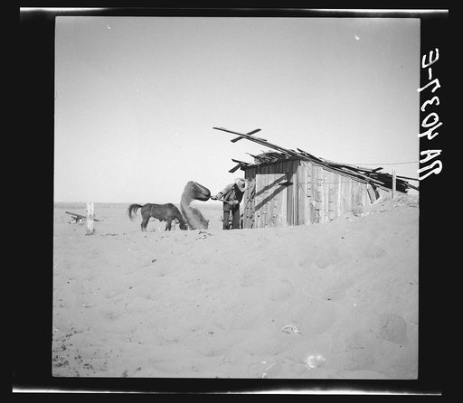 Untitled photo, possibly related to: Cimarron County, Oklahoma. April, 1936. Dust Bowl