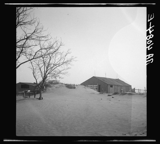 Untitled photo, possibly related to: Barnyard. Cimarron County, Oklahoma