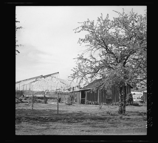 Untitled photo, possibly related to: Miner's home. Cherokee County, Kansas