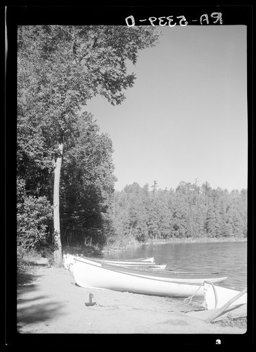 Untitled photo, possibly related to: Lake Itasca, Minnesota