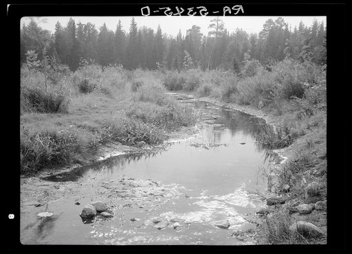 Untitled photo, possibly related to: Source of the Mississippi River. Lake Itasca, Minnesota