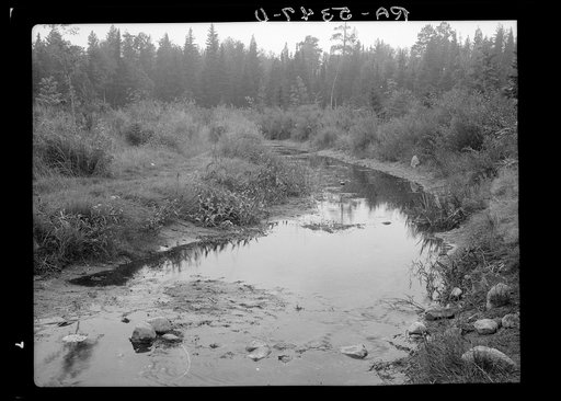 Untitled photo, possibly related to: Source of the Mississippi River. Lake Itasca, Minnesota