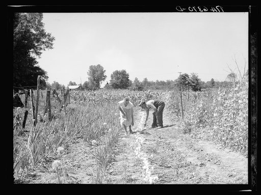 Untitled photo, possibly related to: Rehabilitation clients in garden. Near Batesville, Arkansas