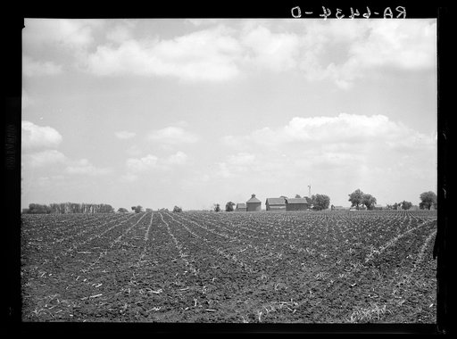 Gibson City (vicinity), Illinois. A corn field and concrete corn crib