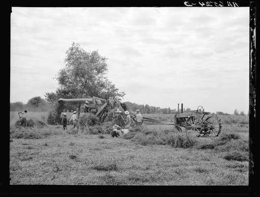 Untitled photo, possibly related to: Threshing white dutch clover at farm in St. Charles Parish near New Orleans, Louisana