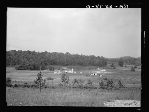 Untitled photo, possibly related to: Backyards and houses of the Palmerdale Homesteads near Birmingham, Alabama