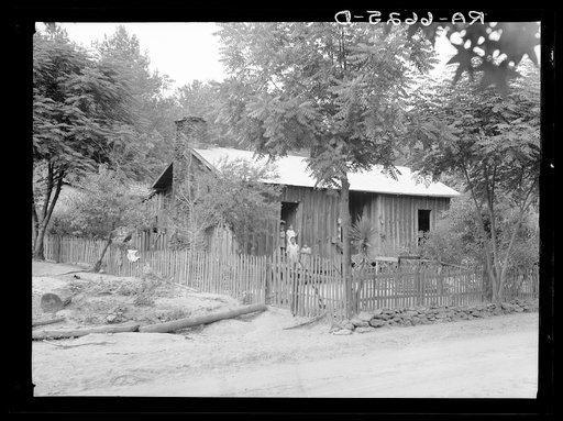 Untitled photo, possibly related to: "Griffin children" of west Alabama land use demonstration project near Greensboro, Alabama