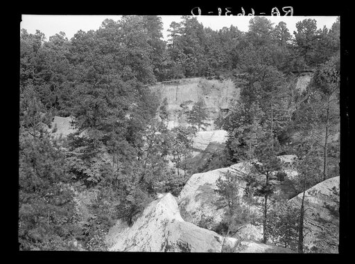 Untitled photo, possibly related to: Cornfield cultivated near erosion pit near Havana, Alabama. Near west Alabama land use demonstration project near Greensboro. Note "Utah clay formation" in bottom of pit