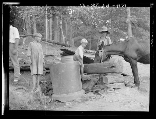 Untitled photo, possibly related to: "Griffin children" of west Alabama land use demonstration project near Greensboro, Alabama