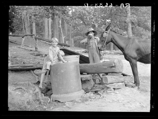 Untitled photo, possibly related to: "Griffin children" of west Alabama land use demonstration project near Greensboro, Alabama