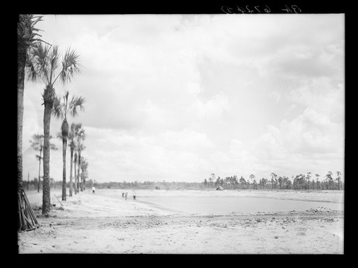 Untitled photo, possibly related to: Preparing banks for grass planting in one of ten two-acre fish rearing ponds on Welaka wildlife and forest conservation project. Welaka, Florida