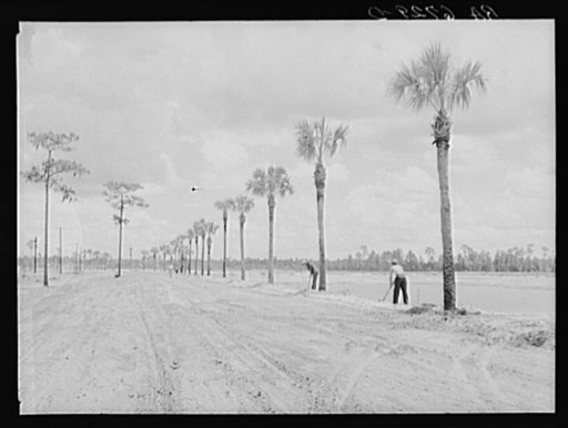 Untitled photo, possibly related to: Preparing banks for grass planting in one of ten two-acre fish rearing ponds on Welaka wildlife and forest conservation project. Welaka, Florida