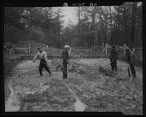 Untitled photo, possibly related to: Scenes of the northern Shenandoah Valley, including the Resettlement Administration's Shenandoah Homesteads