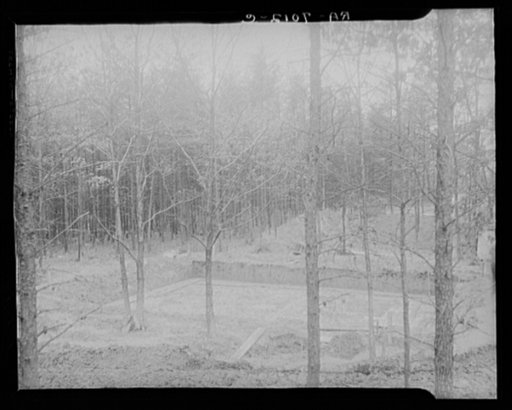 Untitled photo, possibly related to: Scenes of the northern Shenandoah Valley, including the Resettlement Administration's Shenandoah Homesteads