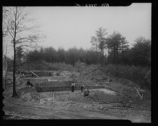 Untitled photo, possibly related to: Scenes of the northern Shenandoah Valley, including the Resettlement Administration's Shenandoah Homesteads