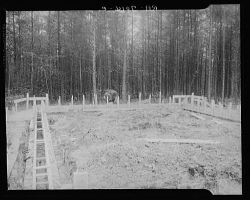 Untitled photo, possibly related to: Scenes of the northern Shenandoah Valley, including the Resettlement Administration's Shenandoah Homesteads