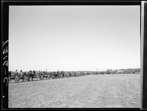 Untitled photo, possibly related to: Lines of farmers waiting for cotton seed which they are buying cooperatively. Roanoke Farms, North Carolina