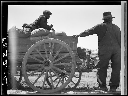 Untitled photo, possibly related to: Negro farmers getting cotton seed and other supplies which they are buying cooperatively at Roanoke Farms, North Carolina