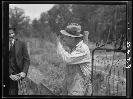 Untitled photo, possibly related to Farms of Farm Security Administration clients, Guilford and Beaufort Counties, North Carolina