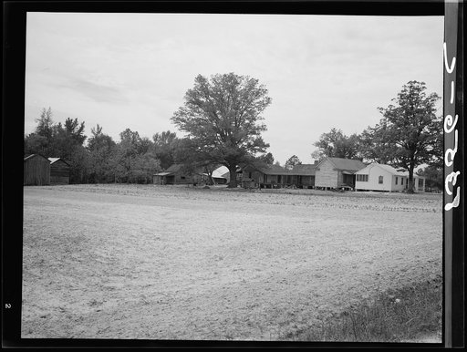Untitled photo, possibly related to Farms of Farm Security Administration clients, Guilford and Beaufort Counties, North Carolina