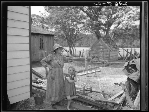 Untitled photo, possibly related to Farms of Farm Security Administration clients, Guilford and Beaufort Counties, North Carolina