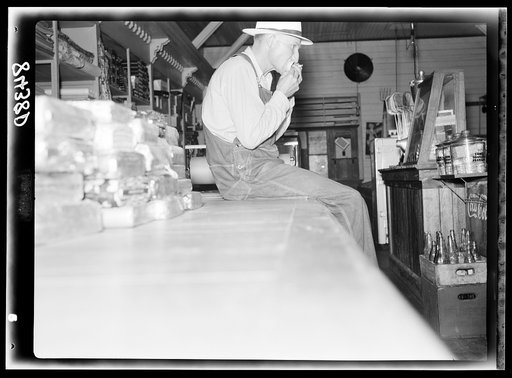 Untitled photo, possibly related to: Clerk in the cooperative store in Irwinville Farms, Georgia