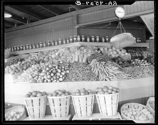 Untitled photo, possibly related to: Center Market. Washington, D.C.