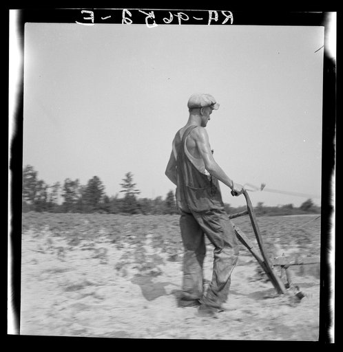 Untitled photo, possibly related to: White tenant farmer works on shares. North Carolina
