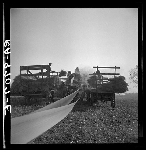 Untitled photo, possibly related to: The threshing of oats. Clayton, Indiana, south of Indianapolis