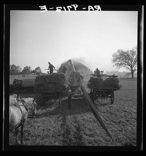 Untitled photo, possibly related to: The threshing of oats. Clayton, Indiana, south of Indianapolis