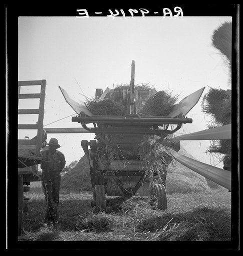 Untitled photo, possibly related to: The threshing of oats. Clayton, Indiana, south of Indianapolis