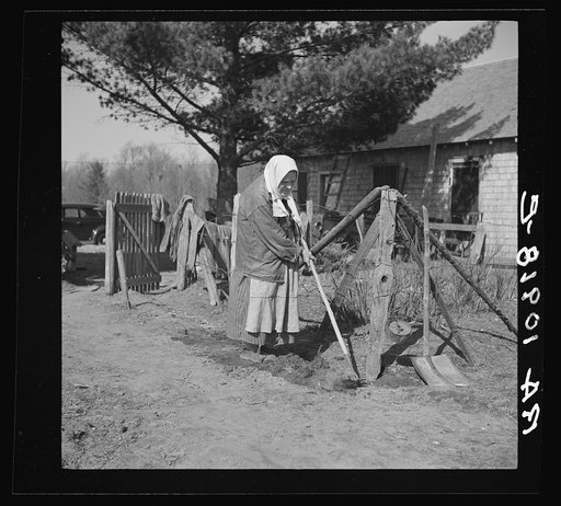 Untitled photo, possibly related to: An old lady hoeing her garden on her small farm near Gibbs City, Michigan