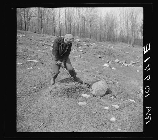 Untitled photo, possibly related to: The common method of removing stones from cut-over land is by use of the crowbar. Near Caspian, Michigan