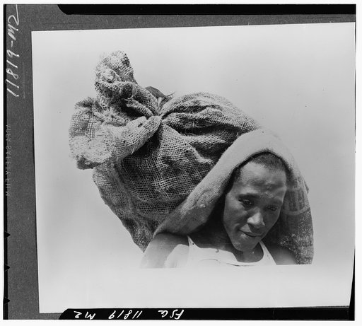 Negro stevedore with sack of oysters. Olga, Louisiana