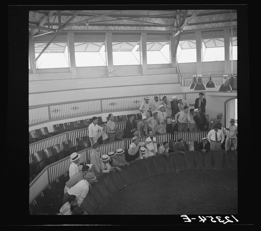 Untitled photo, possibly related to: The beginning of the cock fight. When the man in the center raises the cloth, the birds will see each other and begin to fight. Puerto Rico