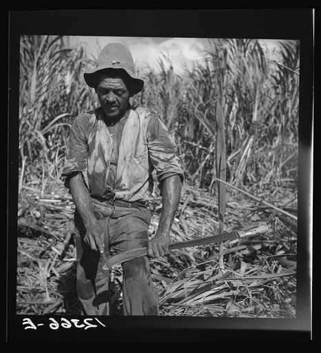 Untitled photo, possibly related to: Sugar worker sharpening his machete. On sugar plantation near Ponce, Puerto Rico