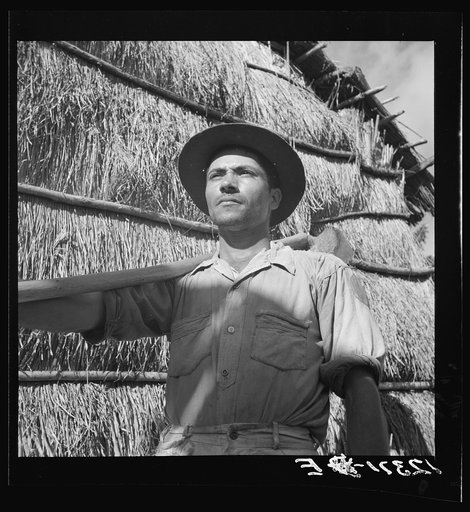 Untitled photo, possibly related to: Jibaro tobacco worker. Near Cidra, Puerto Rico
