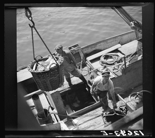 Untitled photo, possibly related to: Landing fish at pier for direct overnight trucking to New York. Provincetown, Massachusetts