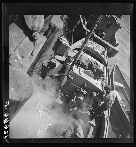 Untitled photo, possibly related to: Landing fish at pier for direct overnight trucking to New York. Provincetown, Massachusetts