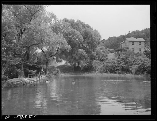 Untitled photo, possibly related to: Swimming hole. Pine Grove Mills, Pennsylvania