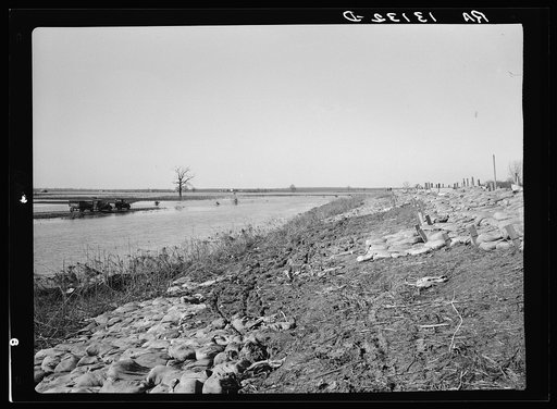 Untitled photo, possibly related to: Submerged farmland at Bessie Levee near Tiptonville, Tennessee, during the 1937 flood