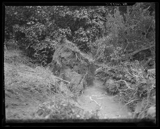 Untitled photo, possibly related to: Earliest stages of land clearing at Greenbelt, Maryland