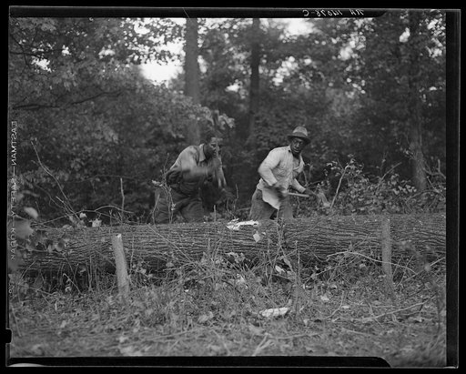 Untitled photo, possibly related to: Earliest stages of land clearing at Greenbelt, Maryland